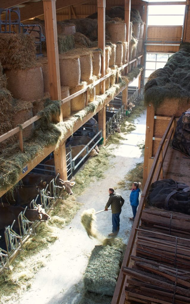 Ferme ginier